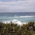 AUS QLD SnapperRocks 2011JAN15 004 : 2011, Australia, Date, January, Month, Places, QLD, Snapper Rocks, Year